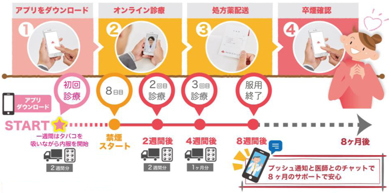 プログラムの流れ・スケジュール図